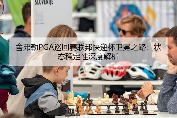 she-fu-lei-xun-hui-sai-lian-bang-kuai-di-bei-wei-mian-zhi-lu-zhuang-tai-wen-ding-xing-shen-du-jie-xi-2-438.jpg