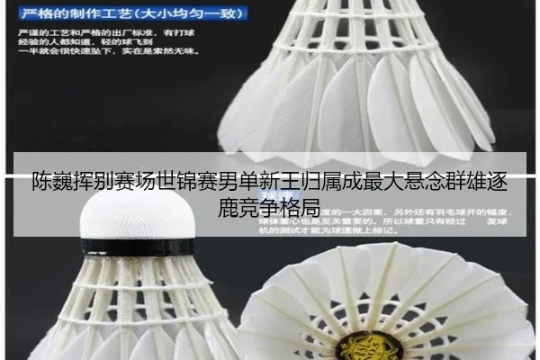 chen-wei-hui-bie-sai-chang-shi-jin-sai-nan-dan-xin-wang-gui-shu-cheng-zui-da-xuan-nian-qun-xiong-zhu-lu-jing-zheng-ge-ju-2-940.jpg