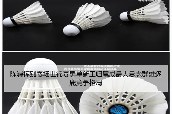 chen-wei-hui-bie-sai-chang-shi-jin-sai-nan-dan-xin-wang-gui-shu-cheng-zui-da-xuan-nian-qun-xiong-zhu-lu-jing-zheng-ge-ju-3-524.jpg