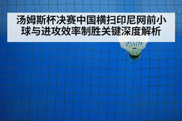 汤姆斯杯决赛中国横扫印尼网前小球与进攻效率制胜关键深度解析